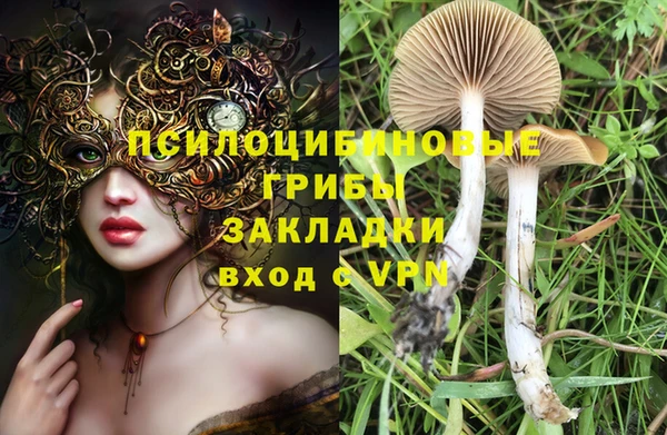 кокс Богородицк