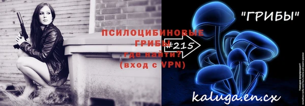 кокс Богородицк
