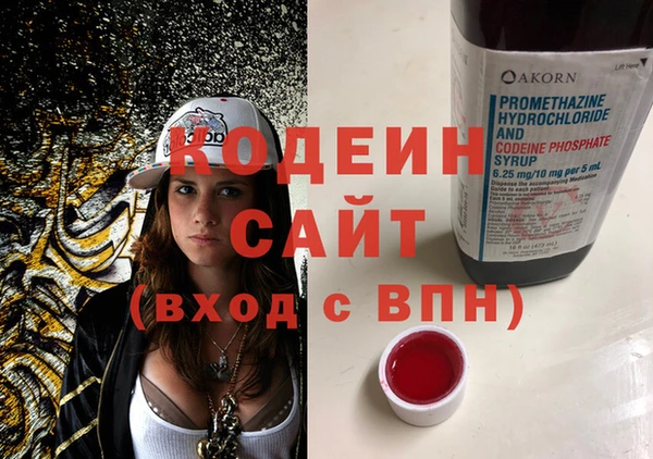 молекула духа Семилуки