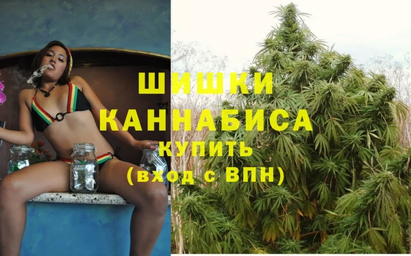 кокс Богородицк