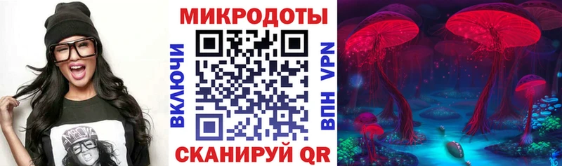 где купить   Михайлов  Псилоцибиновые грибы мицелий 