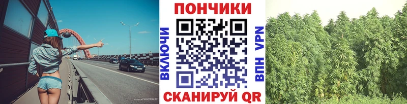 Бошки Шишки ГИДРОПОН  Михайлов 